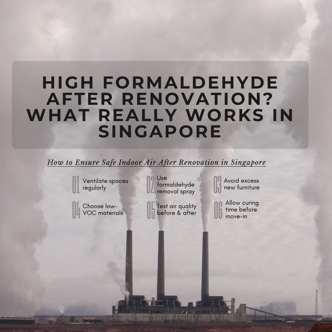 High Formaldehyde After Renovation? What Really Works in Singapore